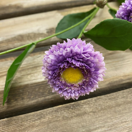 Scabiosa Spray Purple