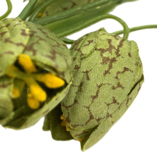 Fritillaria Spray Green