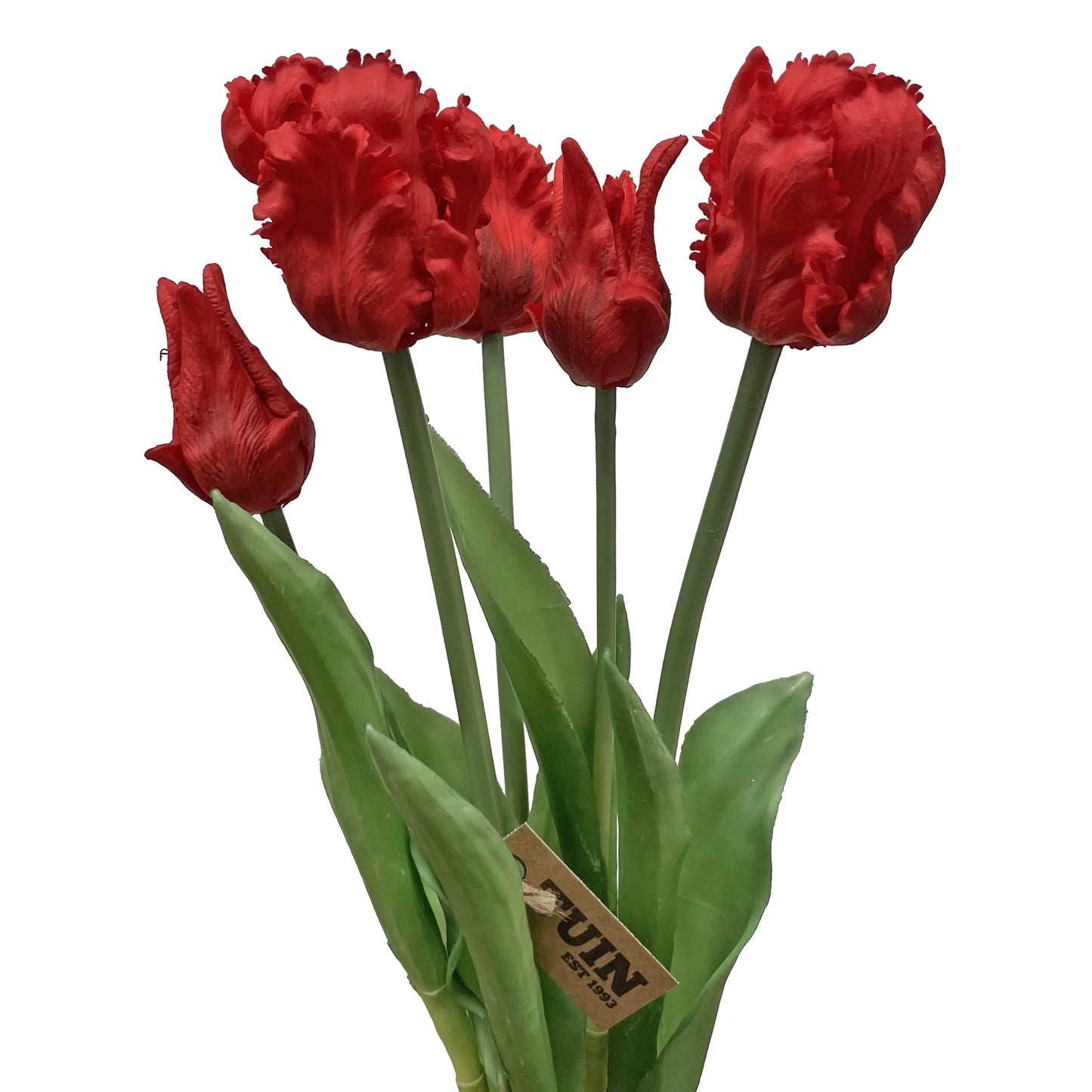Parrot Tulip Bundle Red