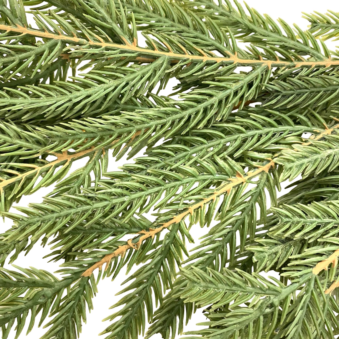 Norfolk Pine Garland