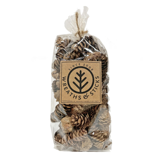 Cônes d'épinette blanche