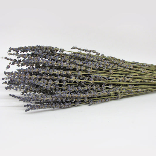 Lavender Bunch