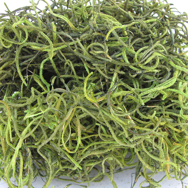 Spanish Moss Green