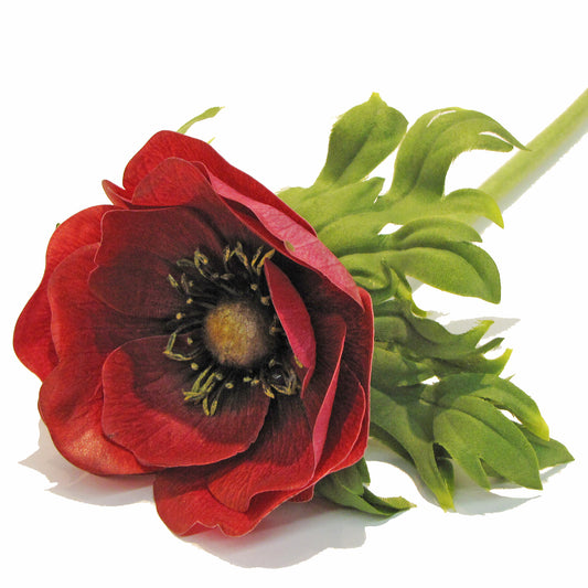 Anemone - Fuchsia/Red