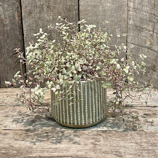 Jardinière en céramique Cognac