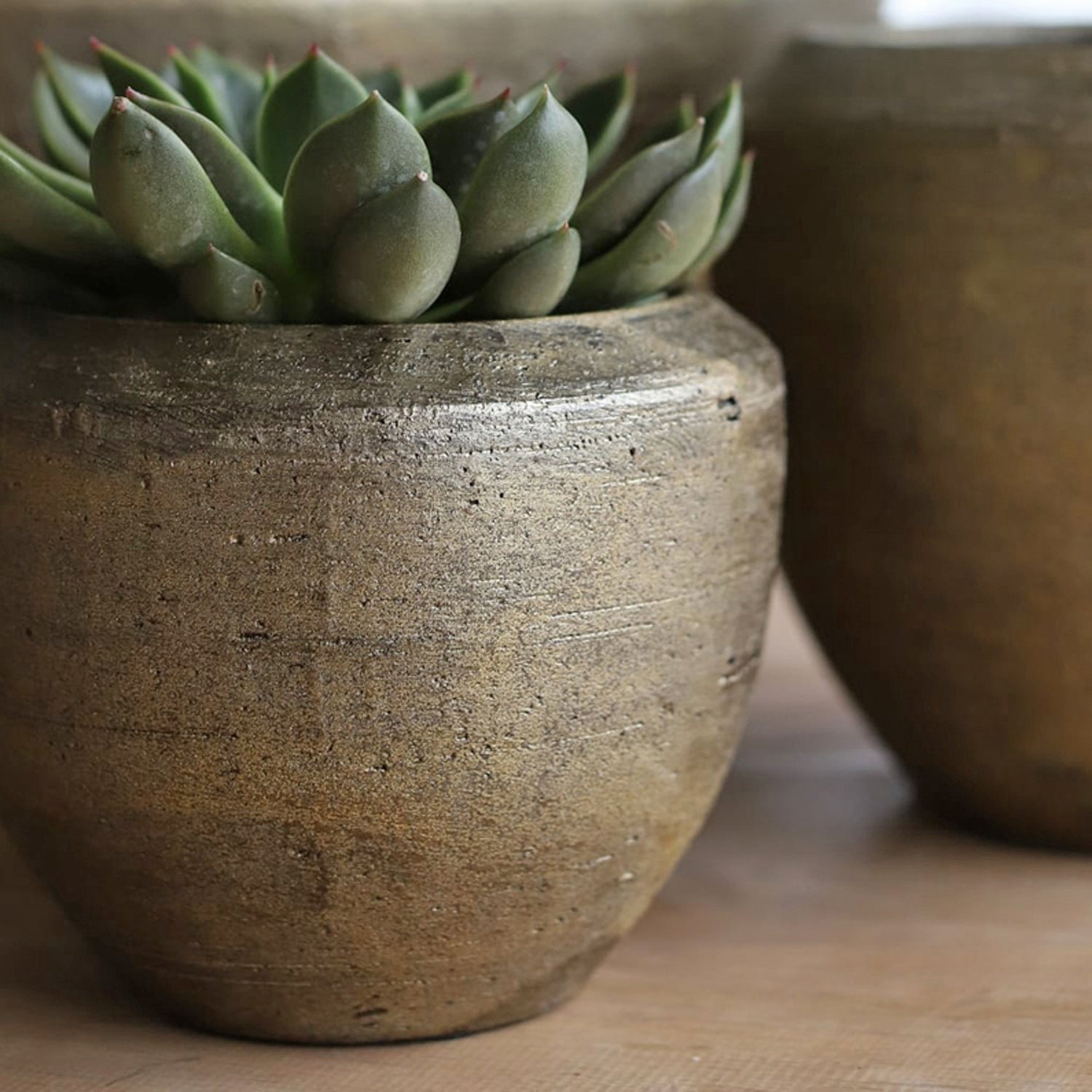 Pots & Planters