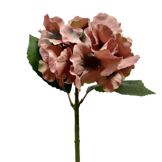 Petit Hortensia Vintage Rose