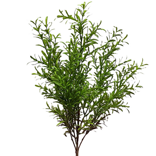 Rosemary Bush