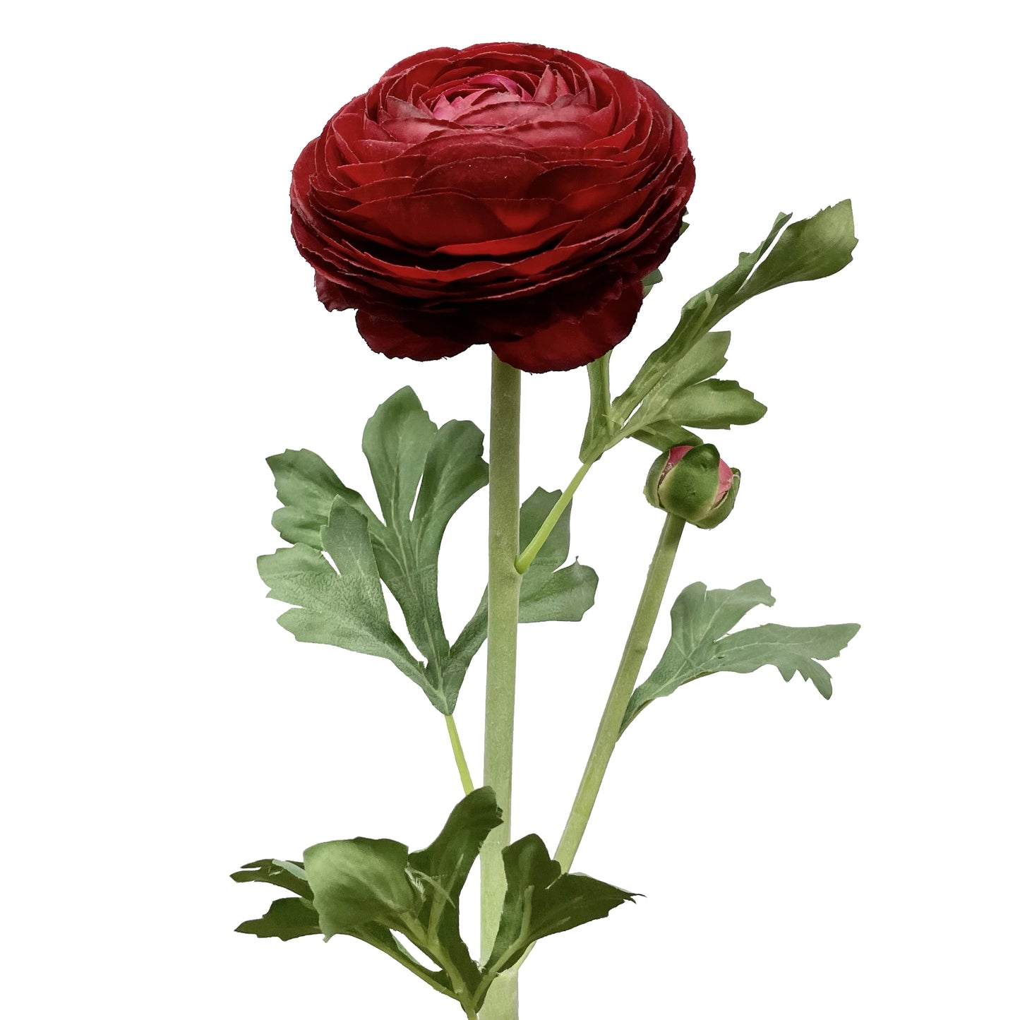 Real Touch Ranunculus Burgundy