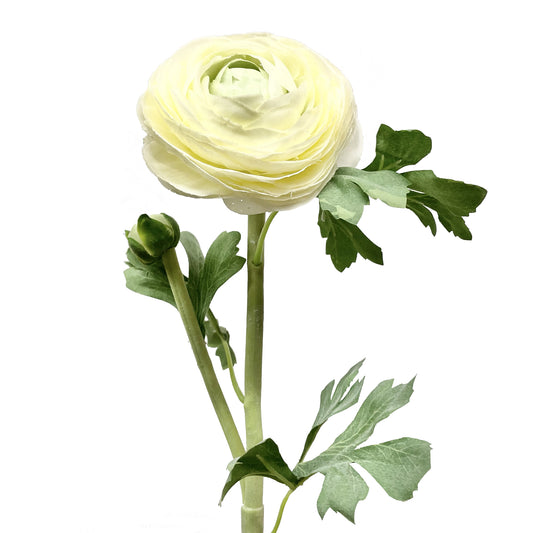 Real Touch Ranunculus Cream