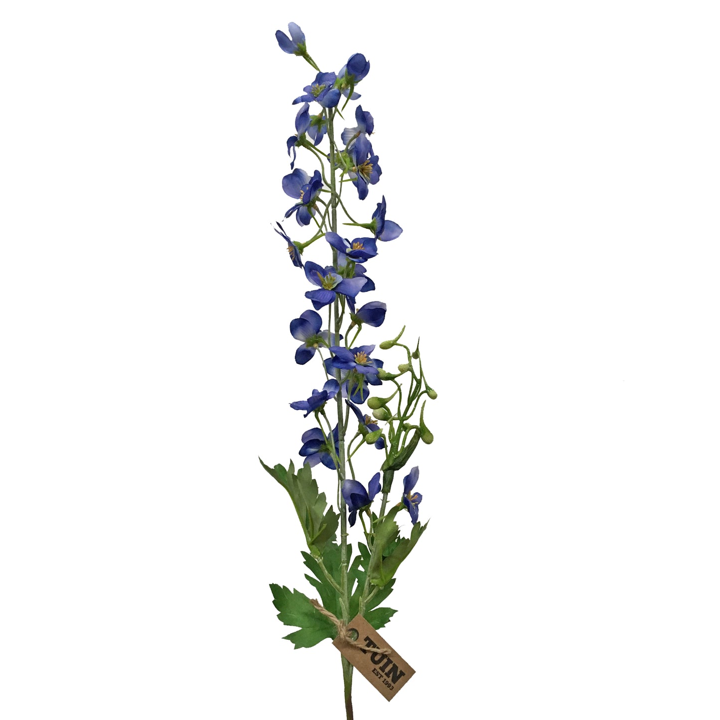 Delphinium Spray Blue