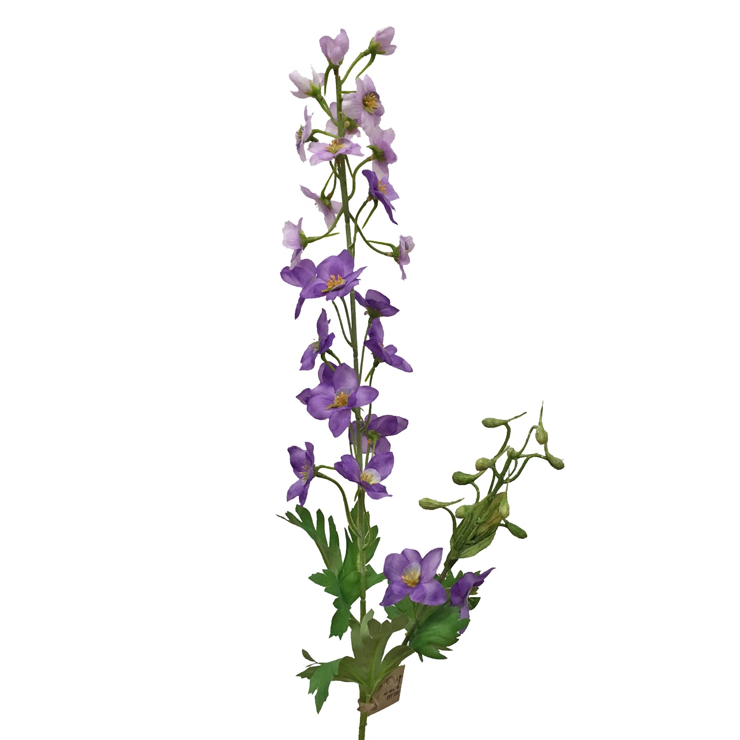 Delphinium Spray Lavender