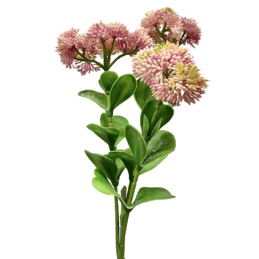 Sedum Spray Light Pink