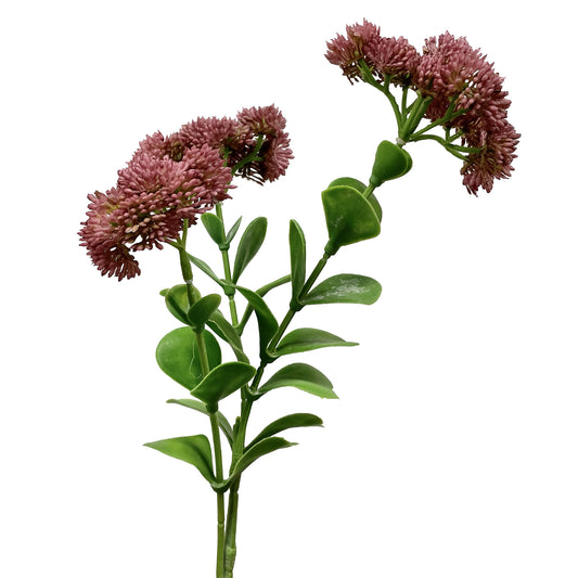 Sedum Spray Mauve