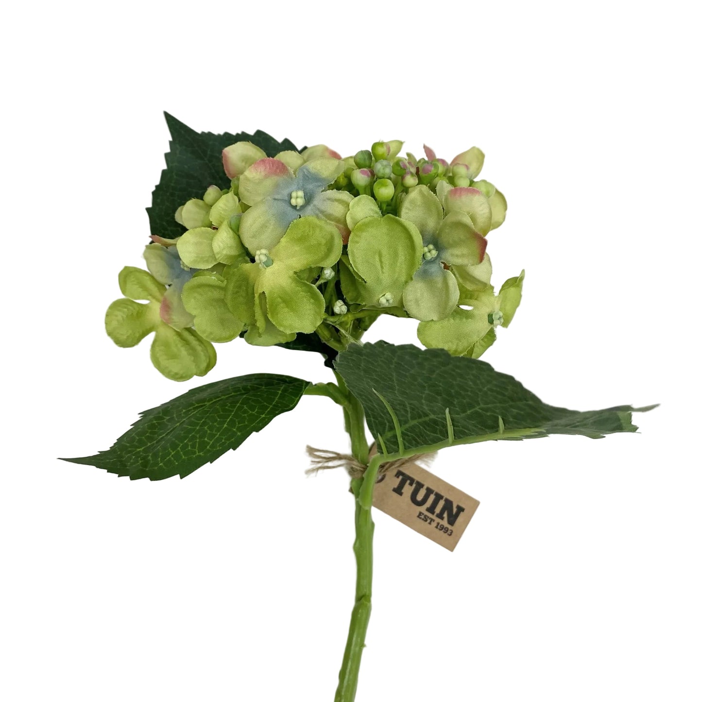 Budding Hydrangea Spray Green