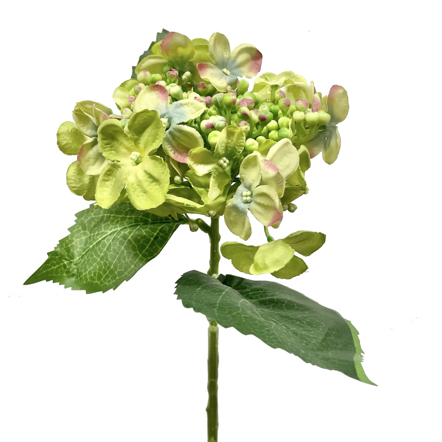 Budding Hydrangea Spray Green