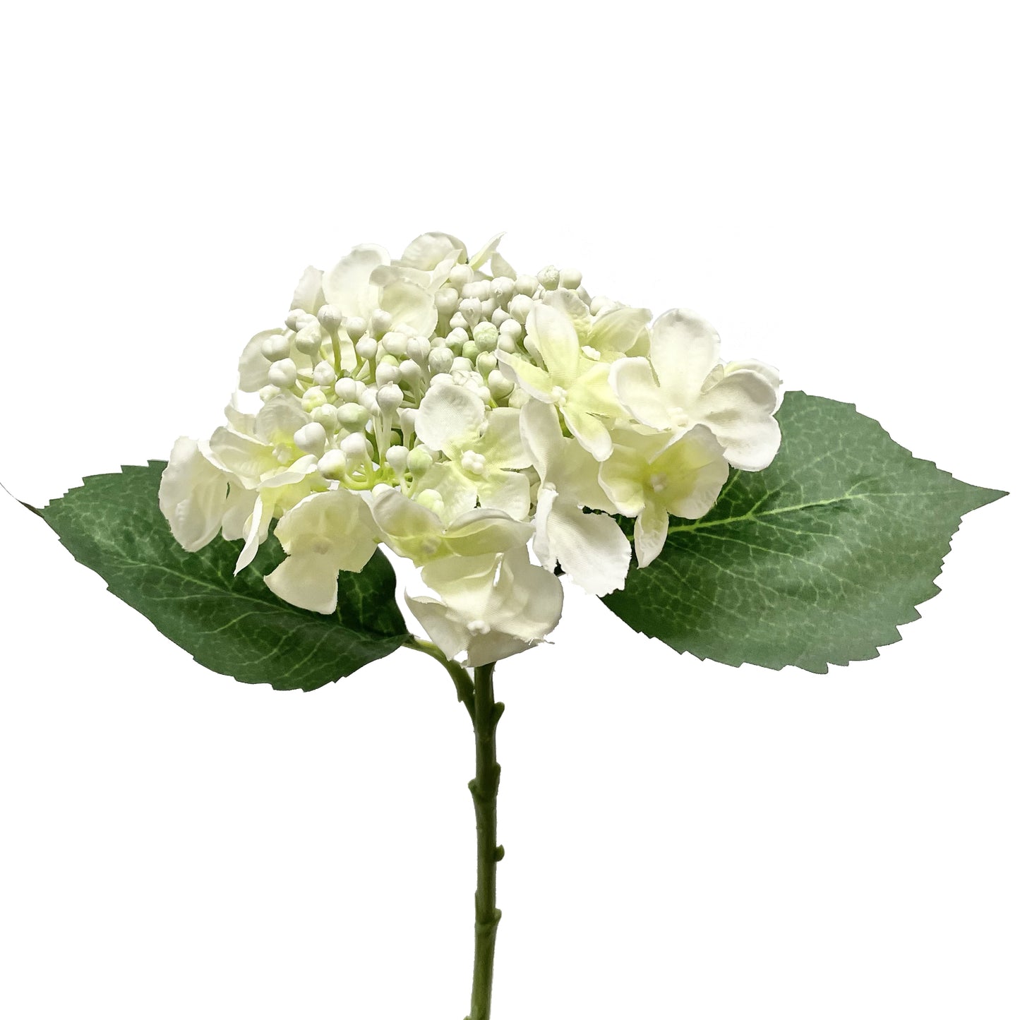 Budding Hydrangea Spray White