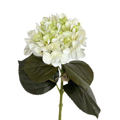 Natural Touch Hydrangea White