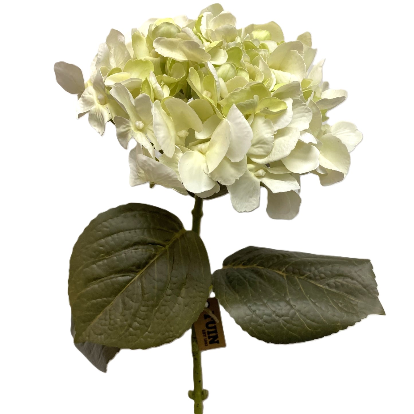Natural Touch Hydrangea White