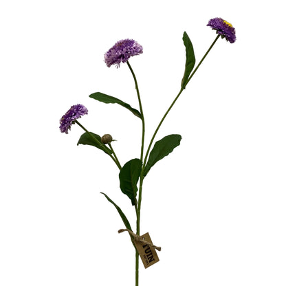 Scabiosa Spray Purple