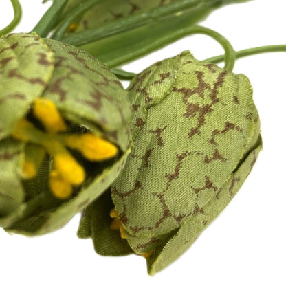 Fritillaria Spray Green