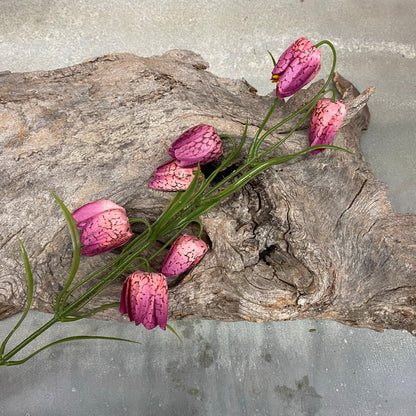 Fritillaria Spray Mauve