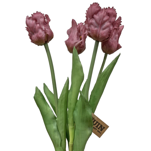 Parrot Tulip Bundle Purple