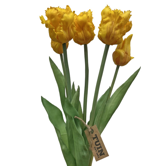 Parrot Tulip Bundle Yellow