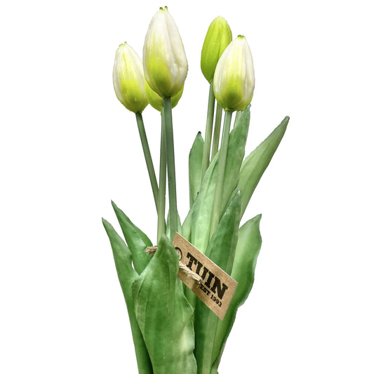 Tulip Bud Bundle White/Green