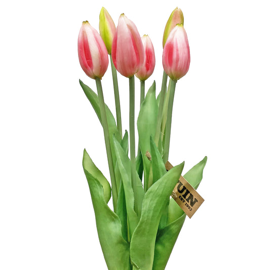 Tulip Bud Bundle Pink