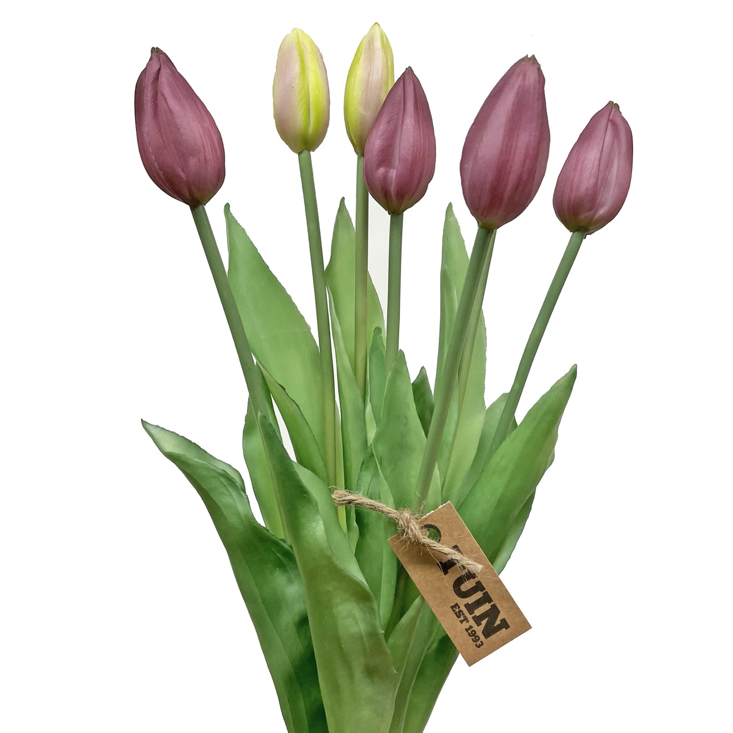 Tulip Bud Bundle Purple