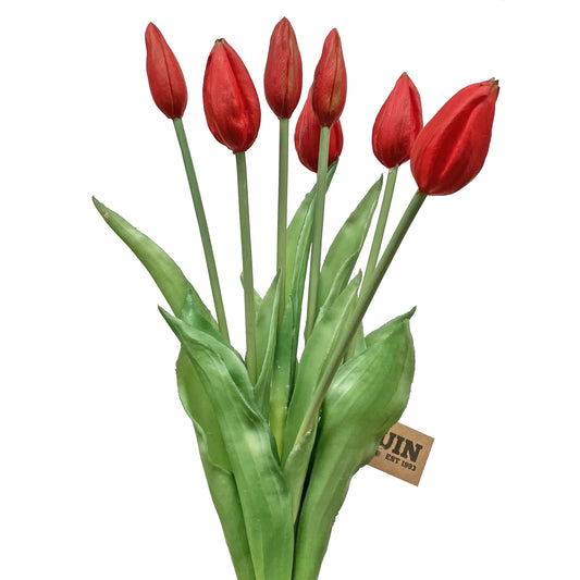 Tulip Bud Bundle Red