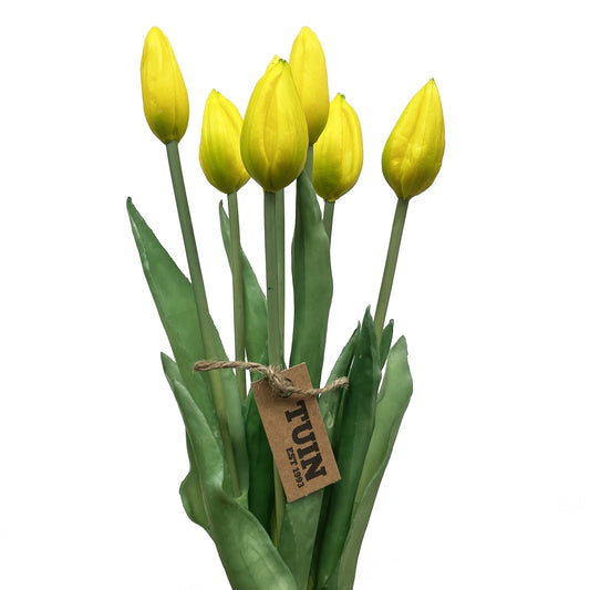 Tulip Bud Bundle Yellow