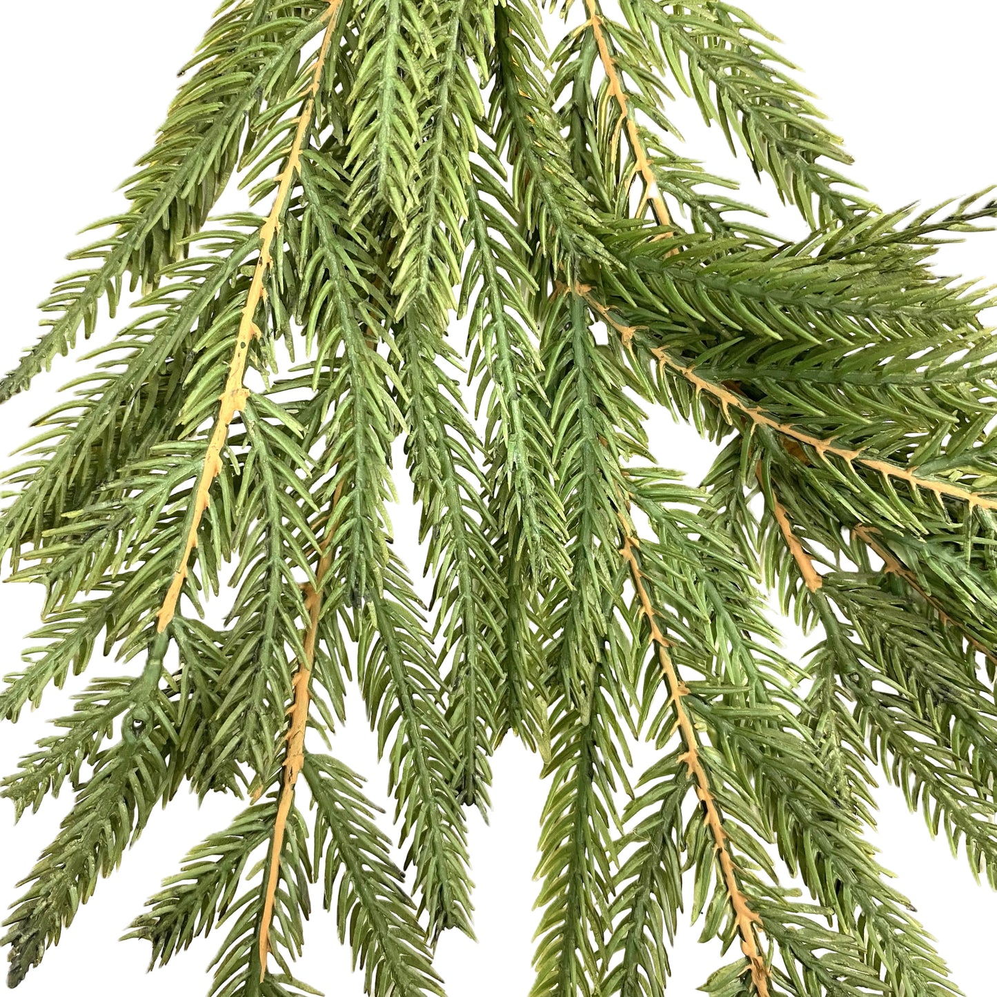 Norfolk Pine Garland