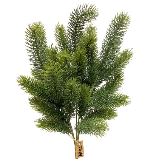 Noble Fir Bush