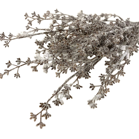 Snowy Eucalyptus Seed Bundle