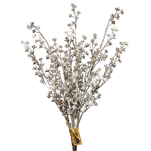 Snowy Eucalyptus Seed Bundle