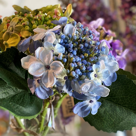 Budding Hydrangea Spray Blue