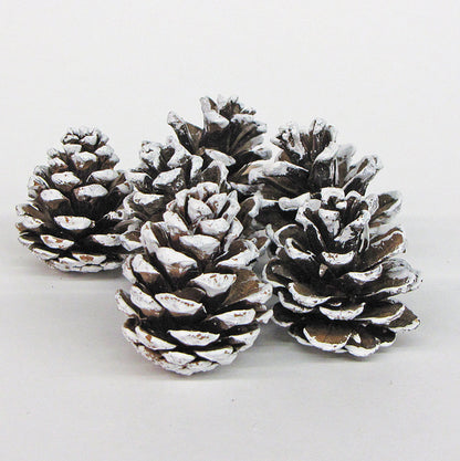 Frosted Red Pine Cones