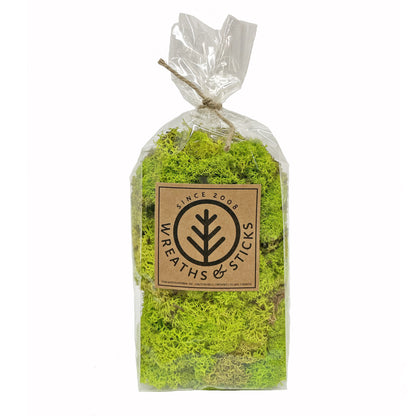 Norwegian Reindeer Moss - Lime