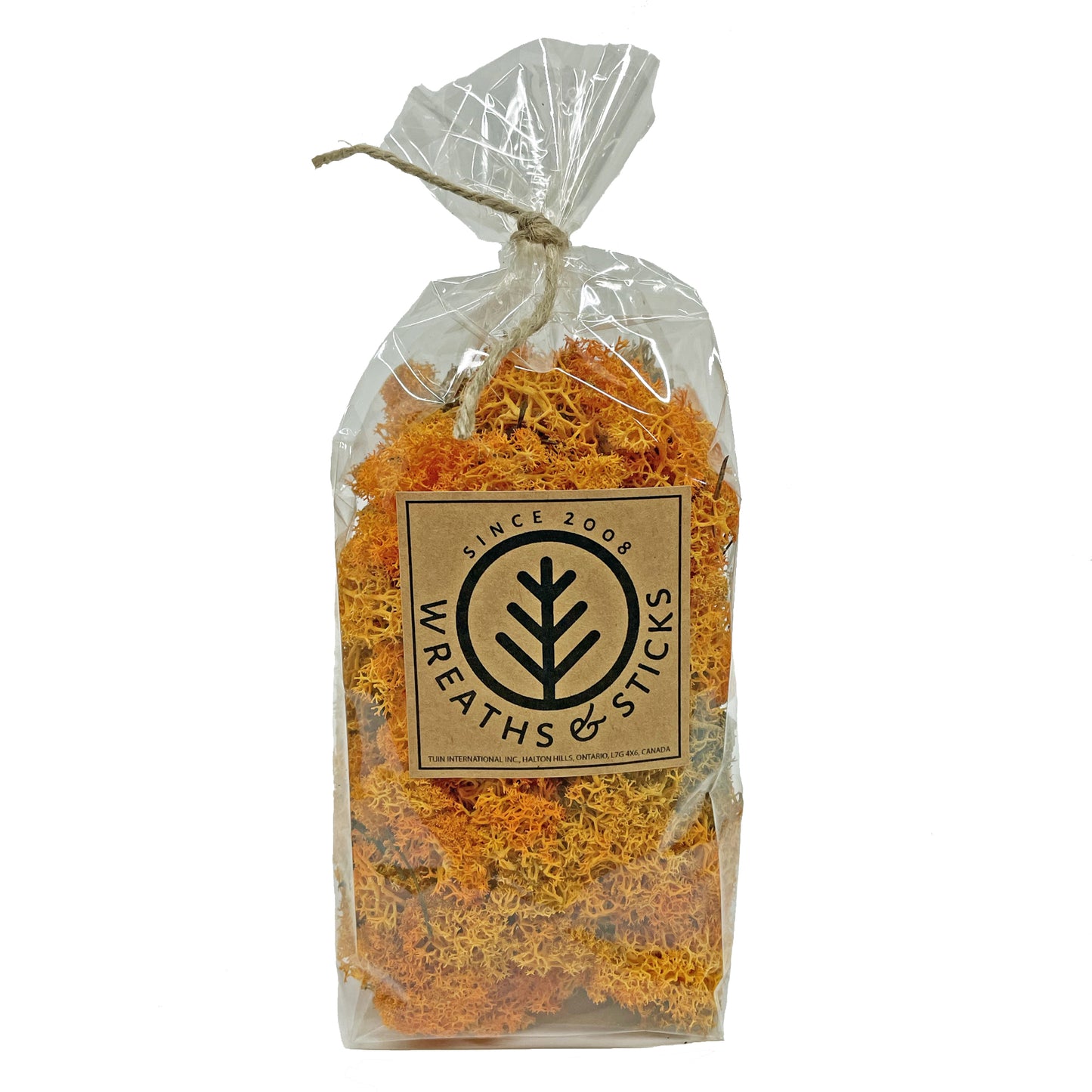 Norwegian Reindeer Moss - Tangerine