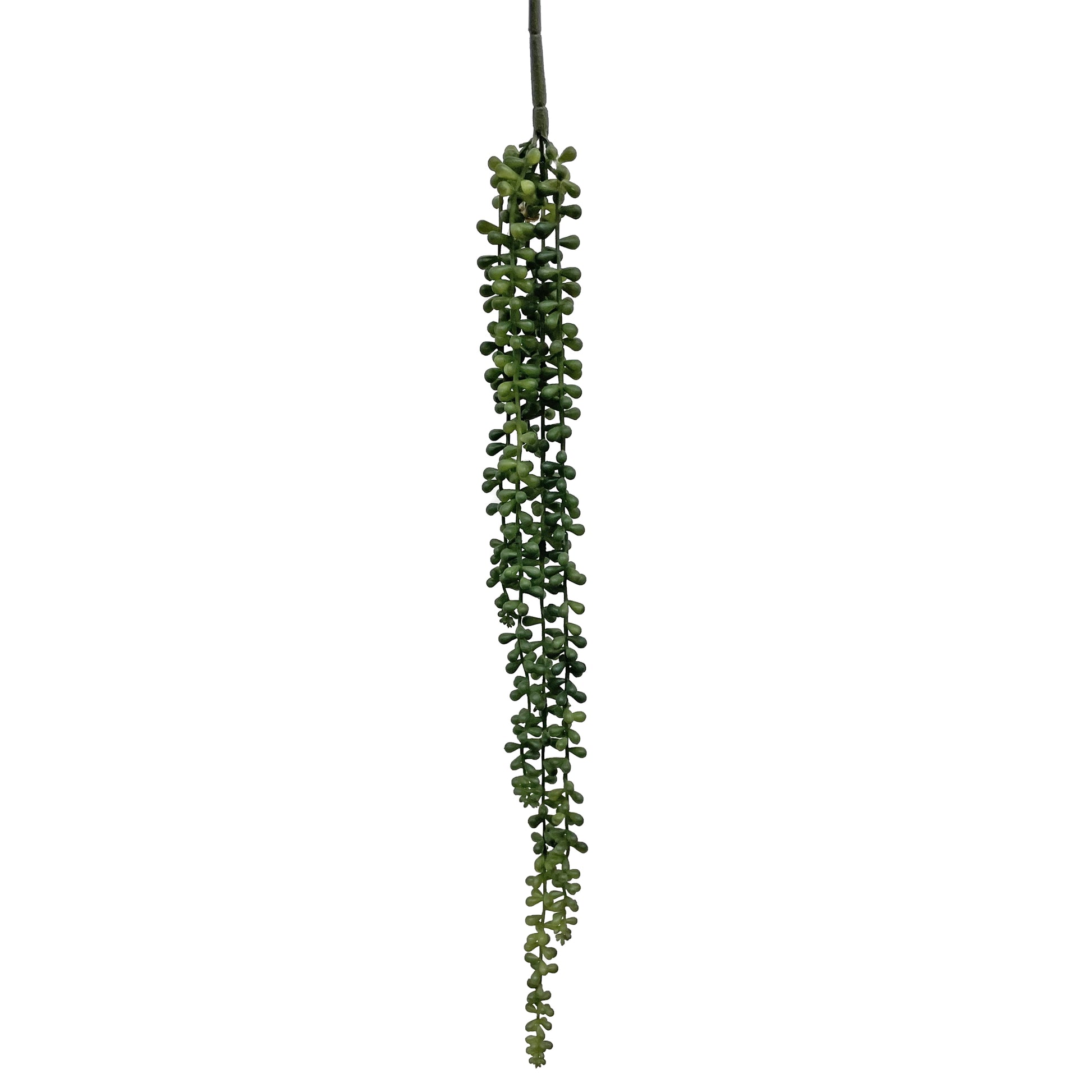 weeping succulents Weeping Succulent – Wreaths and Sticks