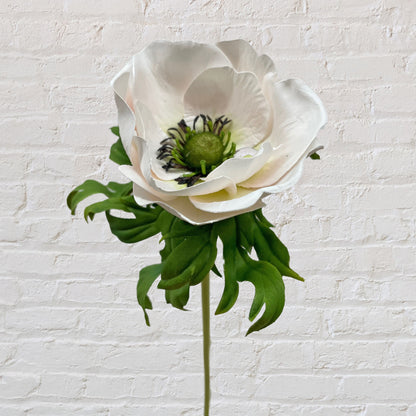 Anemone - Light Pink