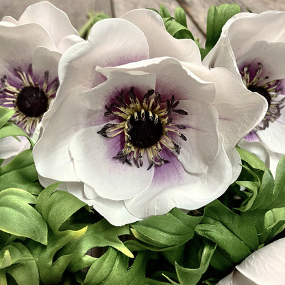 Anemone - Light Purple