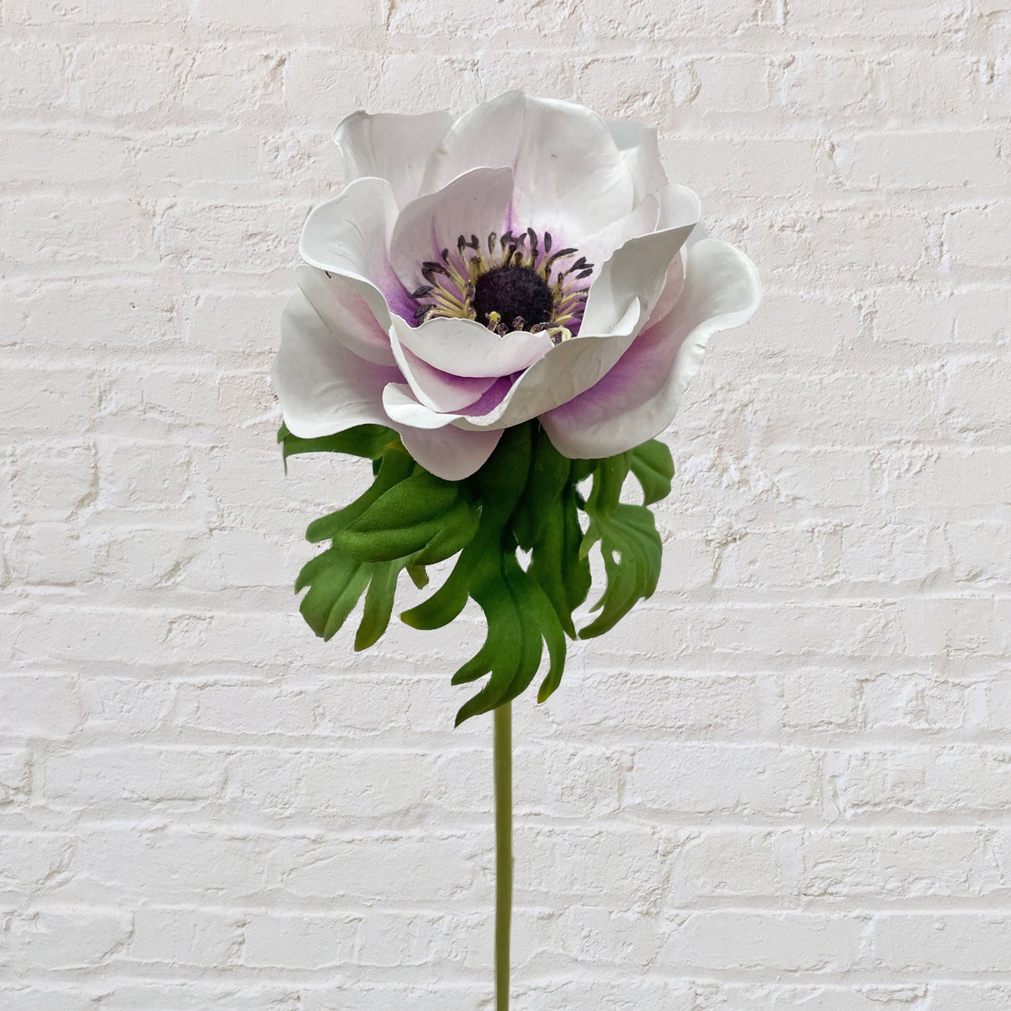 Anemone - Light Purple