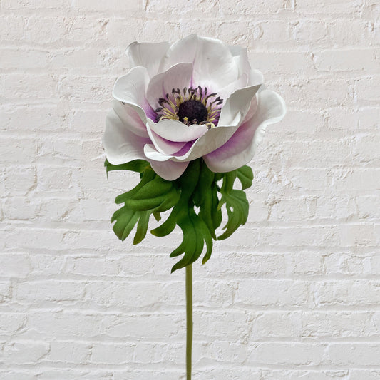 Anemone - Light Purple