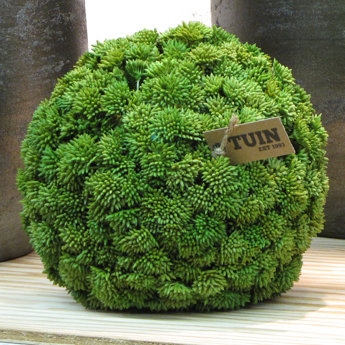 Boule de Succulentes