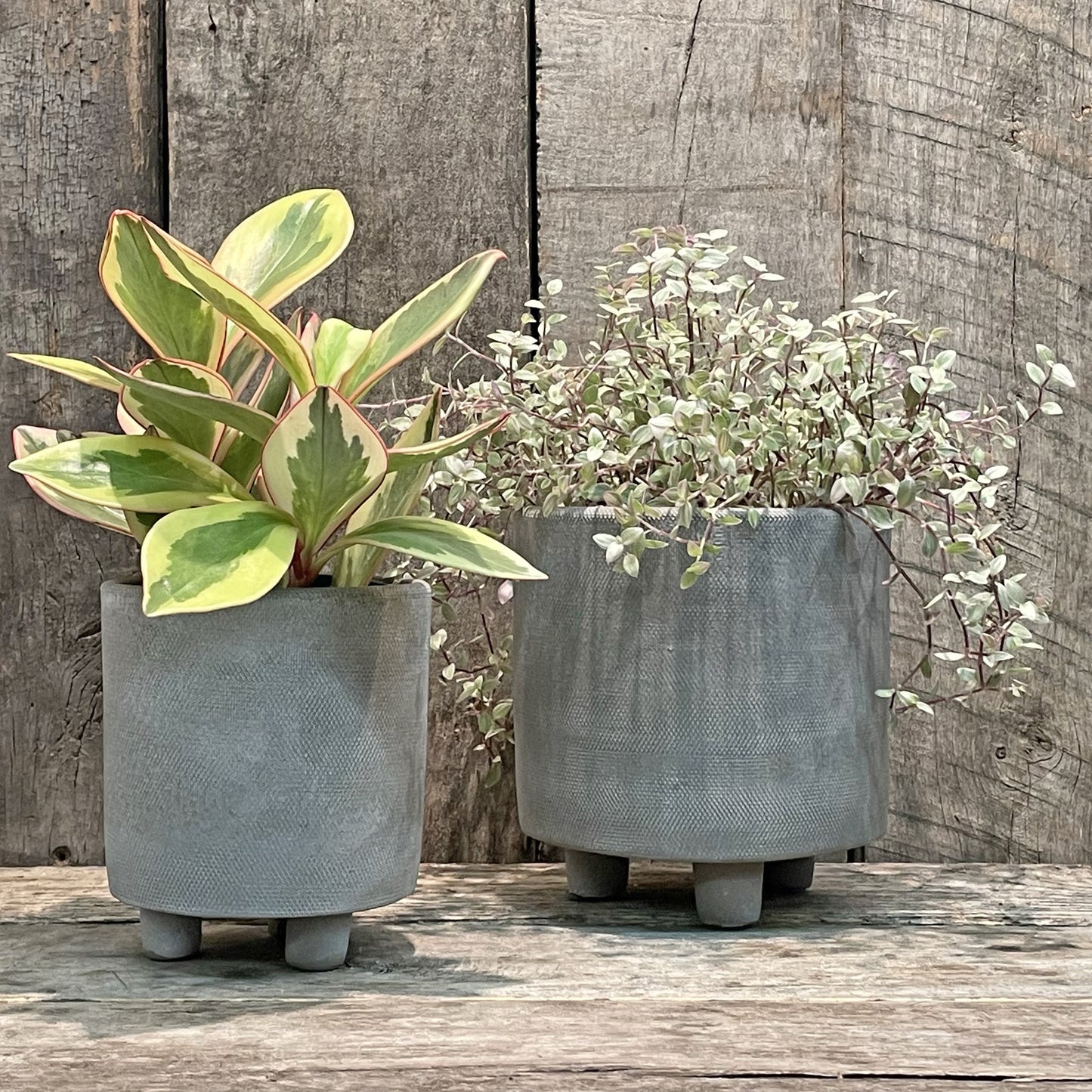 Jardinière sur pied grise