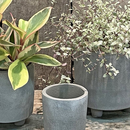 Jardinière sur pied grise