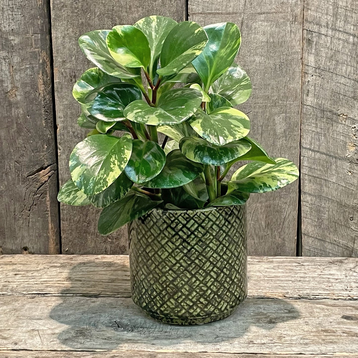 Green Glazed Ceramic Planter